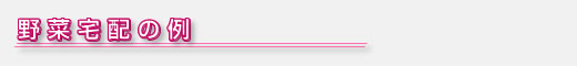 宅配野菜ヘッダ_宅配野菜の例.jpg